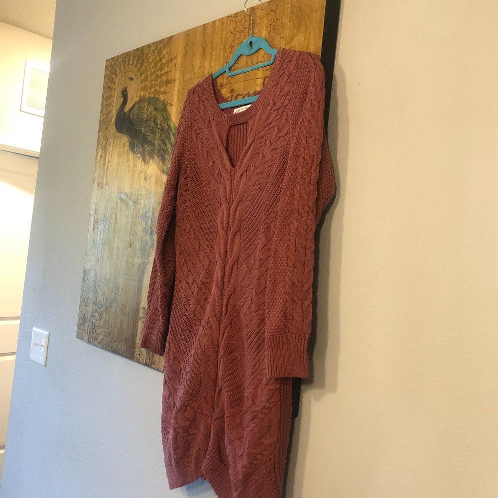Pink Rose Rust Color Dress Size Large - Picture 2 of 6